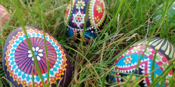 HP_Einzelveranstaltung Bild (800 × 400 px) (10)