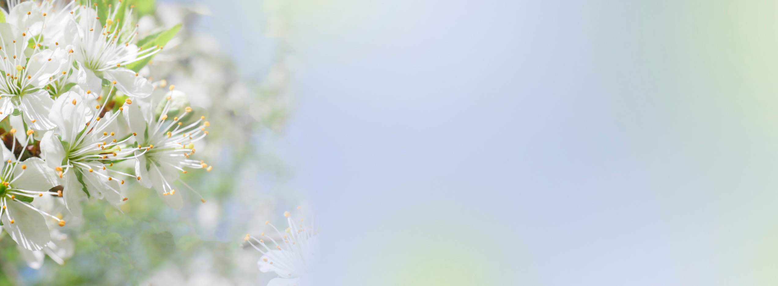 Schließzeiten im Frühling 