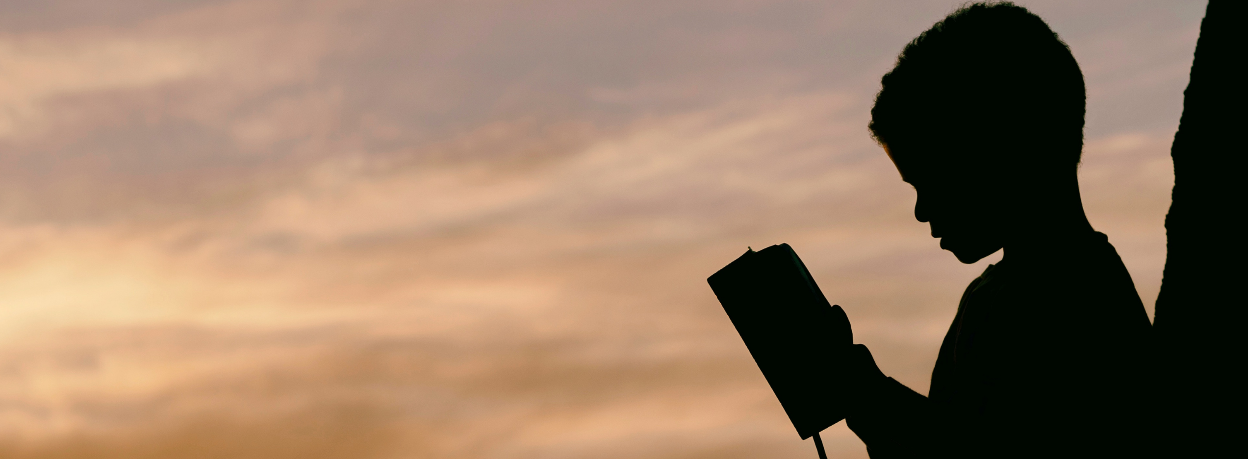 Kurzgeschichten gesucht!